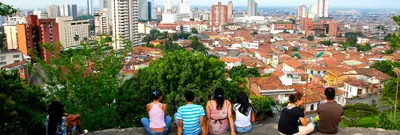 Estatuto Arbóreo de Santiago de Cali