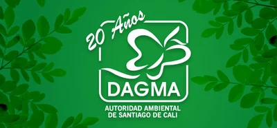 Responsabilidades de los Servidores Públicos