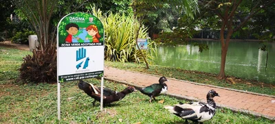 Grupo: Adopción de zonas verdes