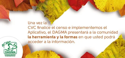 Informes del censo arbóreo