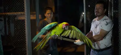 ¿Sabe dónde denunciar la tenencia de animales y flora silvestre?