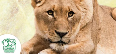 ¿Conoce la sanción por poseer fauna silvestre?