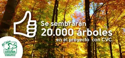 Proyectos de renovación arbórea