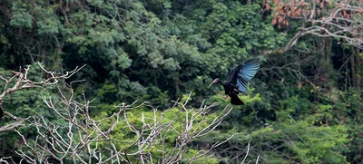 Grupo: Conservación de Ecosistemas