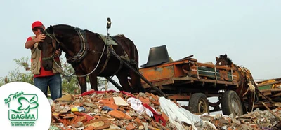 Transportador de vehículo de tracción animal / carretillero