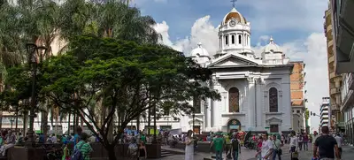 Órgano de la Catedral de San Pedro Apóstol se alista para recital