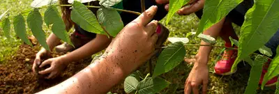 600 árboles serán sembrados en el Ecoparque Bataclán Cerro de las Tres Cruces, por Amo Mi Cali con el apoyo del Dagma