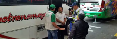 Dagma reforzará operativos en Semana Santa para mitigar el tráfico y uso de la Palma de Cera