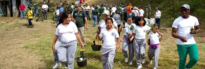 Las siembras responsables son el futuro del árbolado de Cali