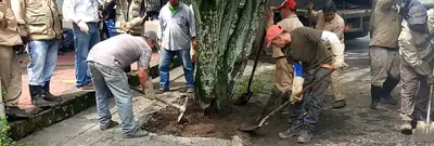 En el Día Internacional de la Tierra  Dagma realizó recuperación de zonas verdes 