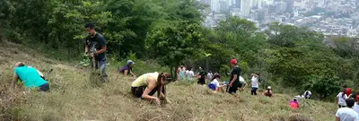 600 especies arbóreas fueron sembradas en el marco del Día Internacional de la Tierra y la ‘Semana de la Bicicleta’ este fin de semana.