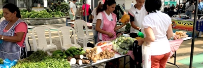 Por Segunda vez, el Mercado Ecológico de Nuestra Tierra se tomó la Plazoleta Jairo Varela