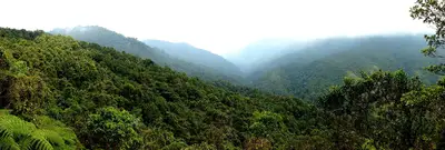 En el cumpleaños 481 de Santiago de cali hay mucho que celebrar y conservar de nuestra riqueza ambiental.