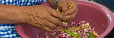 El Mercado Agroecológico de Nuestra Tierra continúa entregando balances positivos a la economía y el bienestar de los caleños