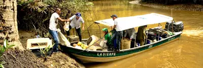 CVC y Dagma liberaron más de 80 especímenes en el pacífico vallecaucano