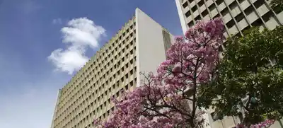 Alcaldía de Cali, una de las mejores en gestión en la región Pacífico