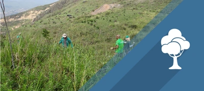 Ecoparques