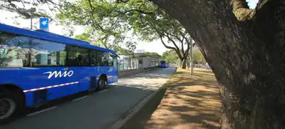 Dos rutas del MIO modificarán sus recorridos en el Caney