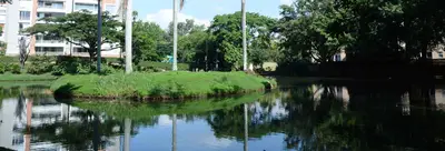 Los humedales, ecosistemas con encanto sobrenatural