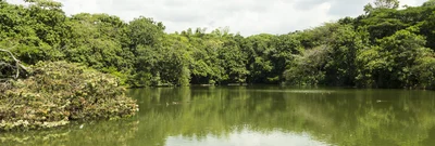 Ecoparque Lago de Las Garzas