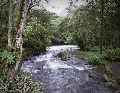 Ecoturismo :