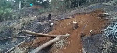 Graves daños ecológicos causó intento de invasión en reserva de uso sostenible Meléndez
