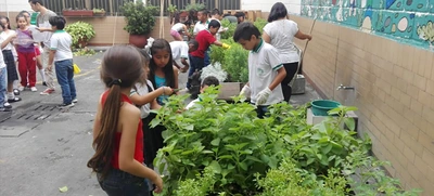 Embajada francesa cooperará en el fortalecimiento de los ecobarrios de Cali