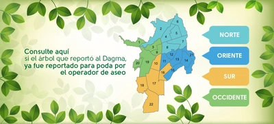 Consulta de árboles reportados, ya programados para poda