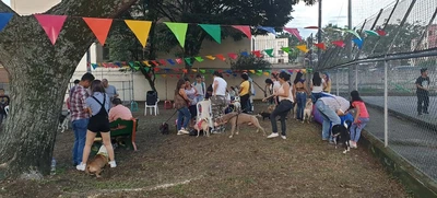 Cali cuenta con el primer parque exclusivo para mascotas