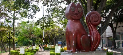 Los mejores parches para gozarte a Cali toda la semana