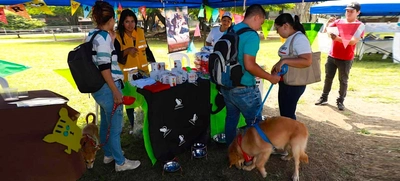 Gatos y perros del área de renovación urbana ahora tienen un nuevo hogar gracias a la jornada ‘Cali de Pelos’
