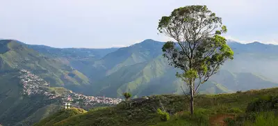 Cerro Los Cristales y Ecoparque Cristo Rey, resurgieron con el Plan Ave Fénix.