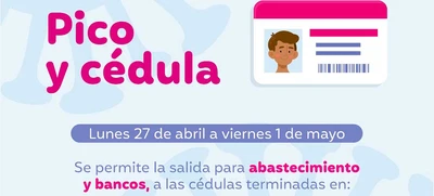 Modificaciones al Pico y Cédula