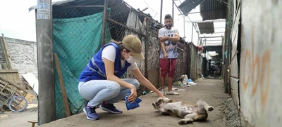 Amor y alimento para nuestros animales