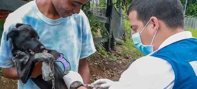 Juez niega por improcedente Acción de Tutela contra la construcción del Centro de Promoción del Bienestar Animal