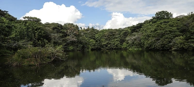 Ecoparque de las Garzas, un mundo abierto para grandes y chicos