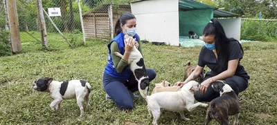 Se adjudicó contrato para construcción del Centro de Bienestar animal en Cali