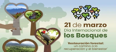 En el día internacional de los bosques, el Dagma invita a pensar en verde