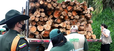 Continúan operativos de control y vigilancia ambiental