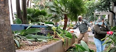 DAGMA presente en la recuperación del Parque de las Tortugas