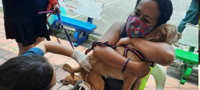 Con medidas de bioseguridad para prevenir el contagio de Covid, se desarrolló jornada de salud animal