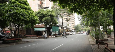 Abril y mayo, meses claves para la socialización del Paseo de la Avenida Sexta