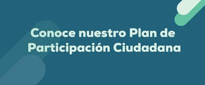 Plan de Acción de Participación Ciudadana 2021
