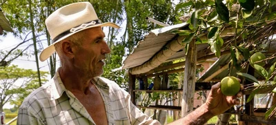 Alimentos orgánicos, la apuesta de los agricultores de ‘La Gloria’ en el mercado campesino