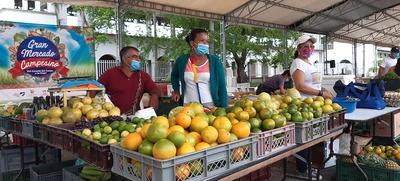 Mercado Campesino: Encuentro de la ruralidad y la ciudad, una historia que debemos repetir