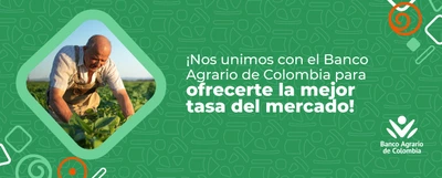 Cali Crece