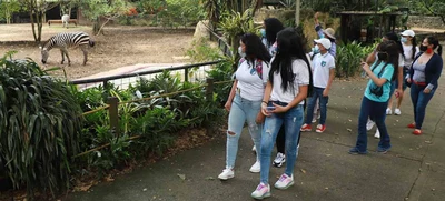 Más de 10 mil niños, niñas y jóvenes han asistido gratis al Zoológico de Cali