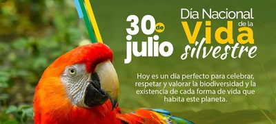 En el Día Nacional de la Vida Silvestre resaltamos la protección de la biodiversidad