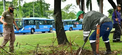Cali se compromete a generar impacto ambiental positivo