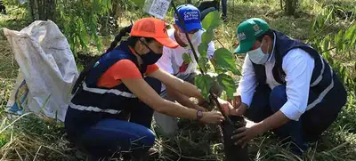 Movilidad activa y más árboles para reducir impacto del cambio climático en Cali